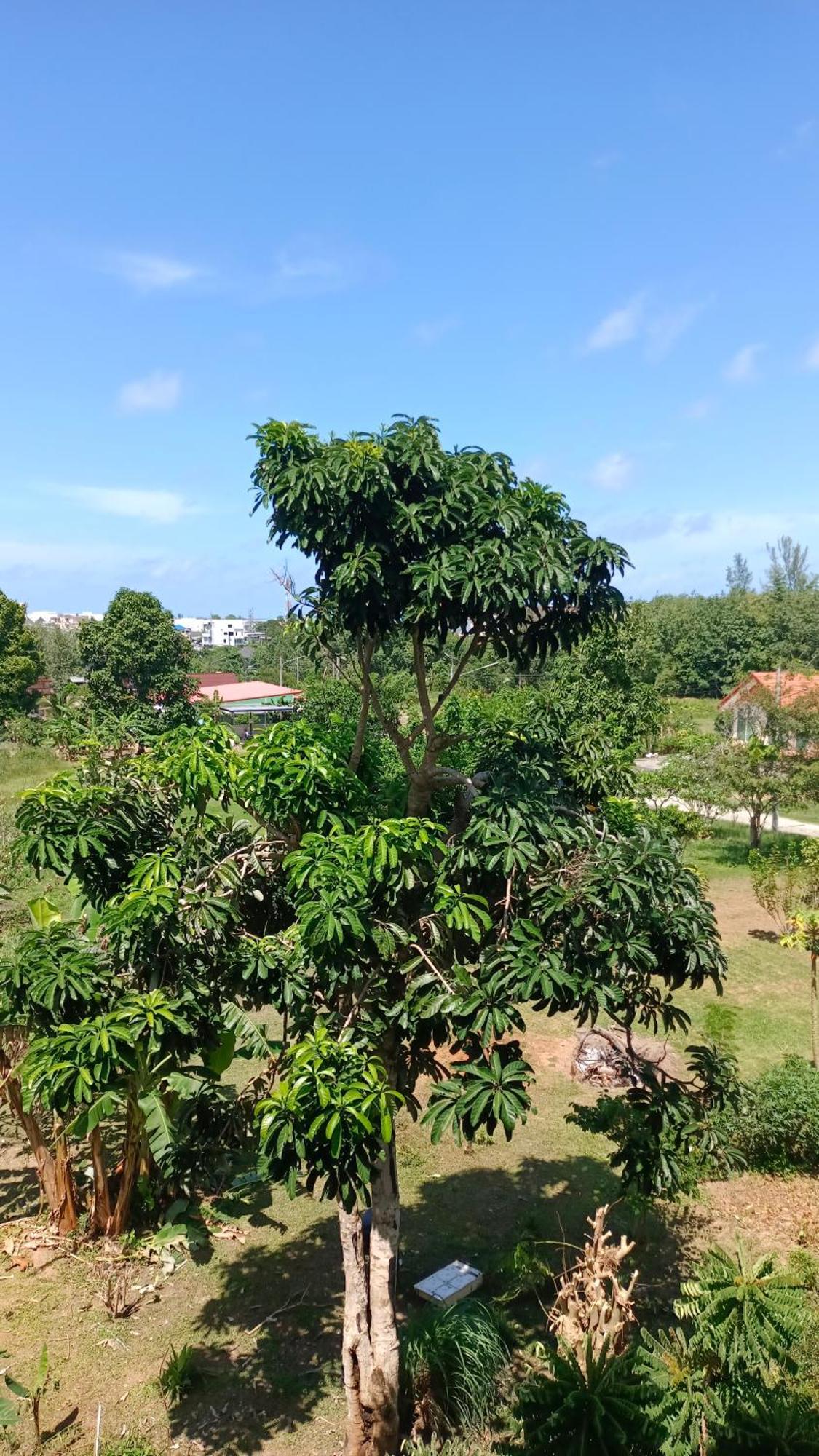 Batikseafood Airport & Room Ban Bo Sai Klang Rom bilde